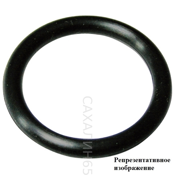 Кольцо резиновое G-25, 24.4x3.1мм.  статический тип  (JIS B 2401)